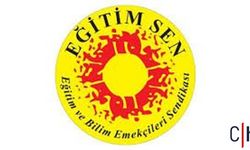 Hakkâri Eğitim Sen’den “Milli Eğitim Akademisi” Tepkisi