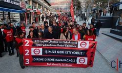 Van’da 223 İşçinin Direnişi Yeniden Başladı