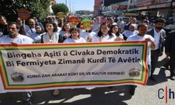 Seçmeli Ders Yetmez, Kürtçe Resmî Dil Olmalı