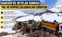 Hakkâri’de Heyelan Sonrası Seferberlik: Yol ve Köprü Çalışmaları Hız Kesmeden Sürüyor