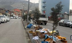 Hakkari’de Çöp Krizi: Heyelan Atık Tesisini Vurdu, Yeni Alan Arayışı Sürüyor