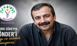 DEM Parti Hakkari’den Sırrı Süreyya Önder İçin Taziye Mesajı