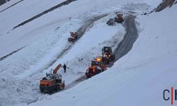 Bahçesaray Yolu Kar Esaretinden Kurtuldu!