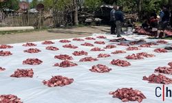Hakkari'de Ezber Bozan Dayanışma! 140 Kurban İmece Usulü Kesildi, 1 Asırlık Gelenekle Her Haneye Eşit Dağıtıldı