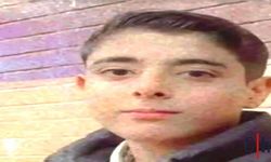 Yolun Karşısına Geçmek İsteyen Çocuğa Otomobil Çarptı! Küçük Sekvan Kurtarılamadı
