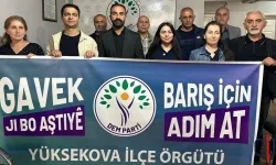 DEM Parti Yüksekova’dan Yürüyüş Çağrısı