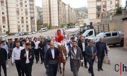 Asırlık Gelenek Yaşatıldı: Gelin At Sırtında Alındı