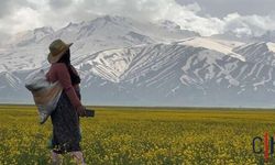 Cilo Dağı’nın Eteklerinde Bahar: Yüksekova’da İki Mevsim Bir Arada