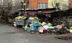 Başkan Tekin’den Sert Tepki: “Hakkari’de Yönetim Krizi Var”