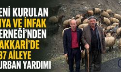 Hakkari’de İhya ve İnfak Derneği’nden Bayramda Anlamlı Yardım