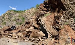 Şemdinli-Derecik Karayolunda Heyelan: Yol Ulaşıma Kapandı