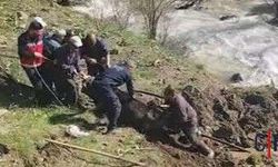 Otluca’da Bataklığa Saplanan İnek Kurtarıldı