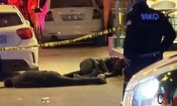 Hakkârili avukat ve ağabeyine çifte cinayet davasında müebbet istemi