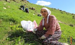 Hakkari Dağlarında Zorlu Mesai: Kadınlar Şifa Kaynağı ‘Siyabo’ İçin Metrelerce Karı ve Sarp Kayalıkları Aşıyor!