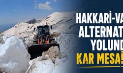 Hakkâri-Van Alternatif Yolunda Karla Mücadele Seferberliği