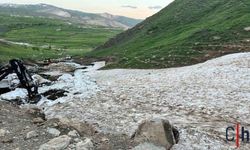 Hakkâri’de Kar Mağarasına Düşen Tosun Saatler Süren Çalışmayla Kurtarıldı