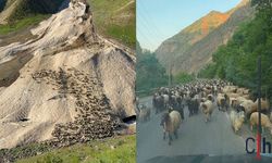 Hakkari’de Geciken Yayla Sezonu Başladı