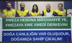 Eğitim Sen Hakkari Şubesi'nden 5 Haziran Dünya Çevre Günü Açıklaması