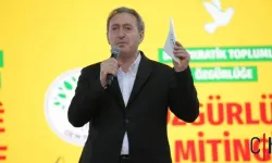 DEM Parti’den “Özgürlük Mitingleri”: Çözüm ve Barış İçin Yasal Adım Çağrısı