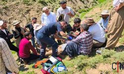 Hakkari'de Yaylada Rahatsızlanan Çoban Hastaneye Kaldırıldı