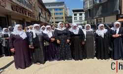 Hakkari'de Rahmi Koç’un Sözlerine Tepki: Barış Anneleri Açıklama Yaptı