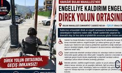 Hakkari'de Engelliye Kaldırım Engeli: Direk Yolun Ortasında