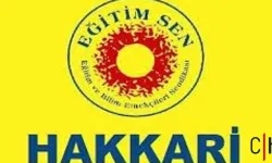 Hakkari Eğitim Sen’den Rahmi Koç’a Özür Çağrısı: "Hiçbir Sermaye Kadınların Onurunu Hedef Alamaz!"