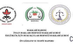Hakkâri Barosu, İHD ve ÖHD’den İşkence İddiaları Raporu Açıklaması