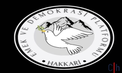 Hakkâri Emek ve Demokrasi Platformu Çalıştayı 17 Temmuz’a Ertelendi