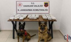 Hakkari'de 21 Kilo 650 Gram Toz Esrar Ele Geçirildi