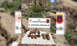 Hakkâri Dahil 8 İlde Kapsamlı Arama-Tarama Faaliyeti