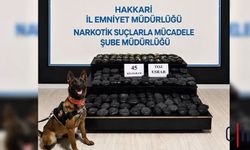 Hakkâri’de Aranan Hükümlünün Aracında 45 Kilogram Toz Esrar Ele Geçirildi