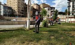 Hakkari Belediyesi’nden Kent Genelinde Yeşil Alan ve Park Bakımı