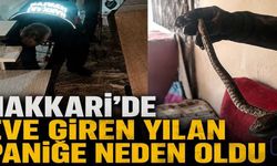Hakkâri'de Eve Giren Yılan Aileye Korku Dolu Anlar Yaşattı