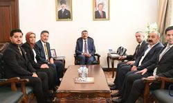 AK Parti Hakkâri Heyetinden Bakan Yardımcısı Ali Çelik'e Ziyaret