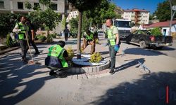 Çukurca’da peyzaj çalışmaları sürüyor, Başkan Demir ekiplere eşlik etti
