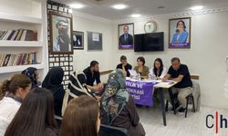 DEM Parti Hakkâri'de Genel Kongre Süreci İçin Değerlendirme Toplantısı Düzenledi