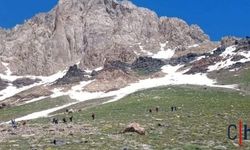 Hakkari Cilo Dağı'nda Kayıp Dağcıyı Arama Çalışmaları Sürüyor