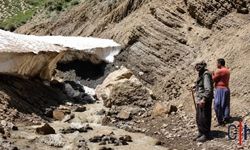 Hakkari'de Kar Kütlesi Faciası: 25 Koyun Telef Oldu