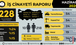 İSİG Meclisi Haziran Ayı Raporunu Açıkladı: 228 İşçi Hayatını Kaybetti