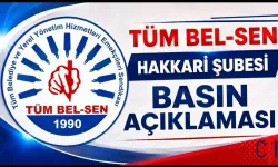 TÜM BEL-SEN Hakkâri Şubesi'nden Belediye Emekçilerine Yönelik Saldırılara Tepki