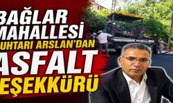 Hakkâri Bağlar Mahallesi Muhtarı Arslan'dan asfalt teşekkürü