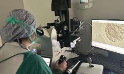 Van’daki Tüp Bebek Merkezi Bölge Çiftlerine Umut Oluyor