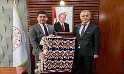 MEB Teftiş Kurulu Başkanı Kaya Hakkari'de