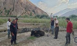 Hakkari-Van Karayolu'nda bataklığa saplanan inek kurtarıldı