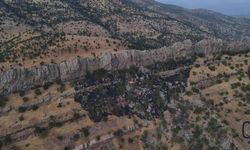 Derecik’te Ormanlık alanındaki yangın söndürüldü