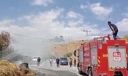 Hakkari’de Saman balyaları alevlere teslim oldu