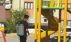 Hakkâri’de sinek ve sivrisineklere karşı yoğun mücadele