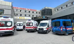 Van Gölü'nde 2 kardeş boğularak hayatını kaybetti