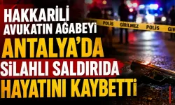 Hakkarili İlhan Kaval silahlı saldırıda hayatını kaybetti